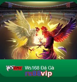 rs88vip